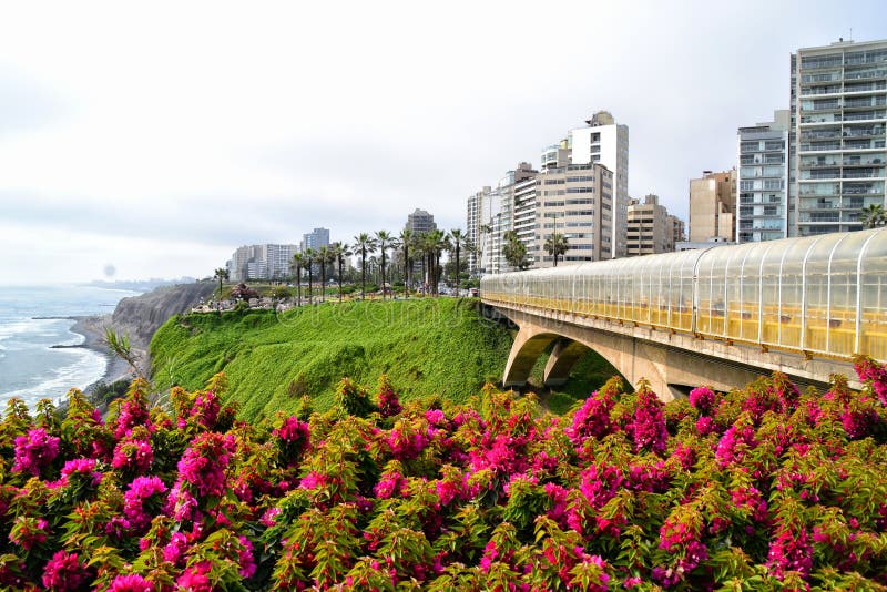 Яркий свежий север взгляда вдоль Тихоокеанского побережья Miraflores в Лиме, Перу стоковая фотография rf Яркий свежий север взгляда вдоль Тихоокеанского побережья Miraflores в Лиме, Перу стоковая фотография rf