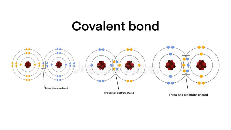 A covalent bond is a chemical bond that involves the sharing of electrons to form electron pairs between atoms, Scientific Designing Of Covalent Bond Types, Polar, Coordinate Bonds Types, Three types. A covalent bond is a chemical bond that involves the sharing of electrons to form electron pairs between atoms, Scientific Designing Of Covalent Bond Types, Polar, Coordinate Bonds Types, Three types