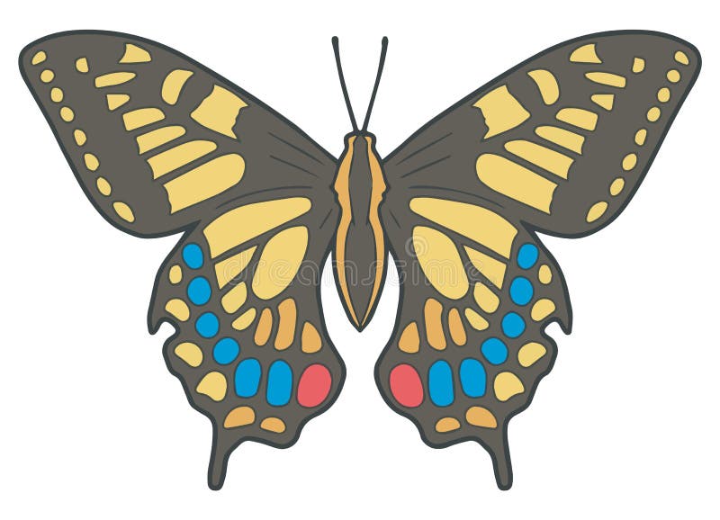 „Papilio Machaon „или „иллюстрация вектора бабочки Swallowtail Старого Мира „точная иллюстрация вектора „Papilio Machaon „или „иллюстрация вектора бабочки Swallowtail Старого Мира „точная иллюстрация вектора