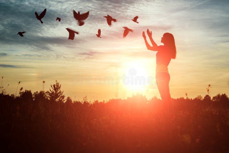 一个年轻女孩在美丽的夕阳中祈祷，享受大自然 希望，信仰，宗教 一群鸟飞， 免版税库存图片