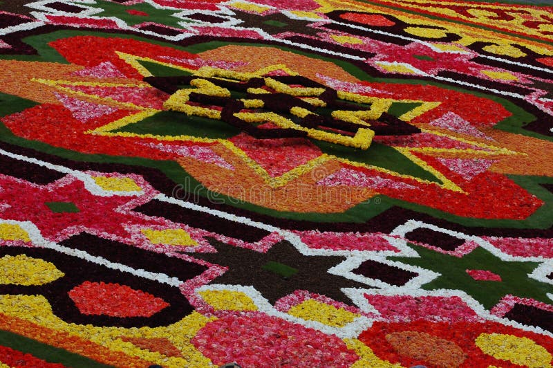 Every 2 years, the Grand-Place of Brussels is covered with a carpet of flowers. These flowers are begonias. Every 2 years, the Grand-Place of Brussels is covered with a carpet of flowers. These flowers are begonias.