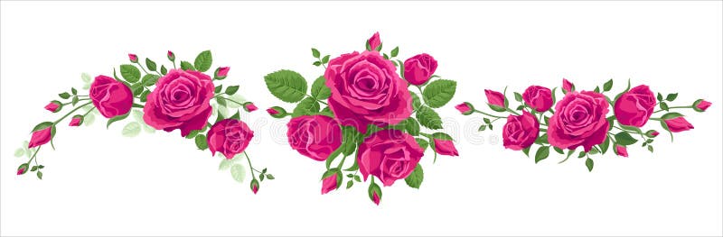 一束玫瑰. 矢量图插图3束带叶的白色背景中的粉红玫瑰. 花圈加兰边界 库存例证