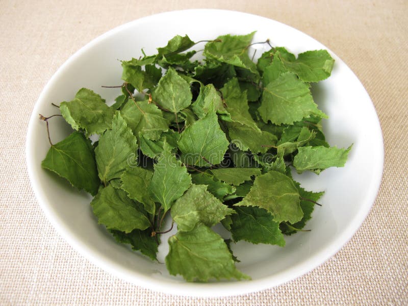 一碗凉茶的桦树干叶 免版税库存图片