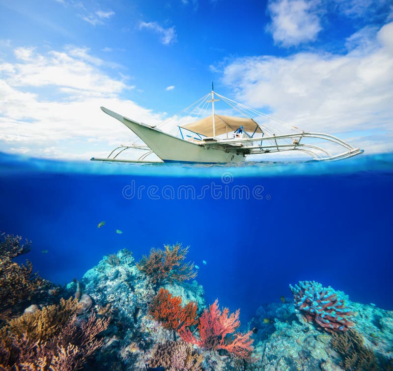 Wall Coral Reef with floating divers. Wall Coral Reef with floating divers.