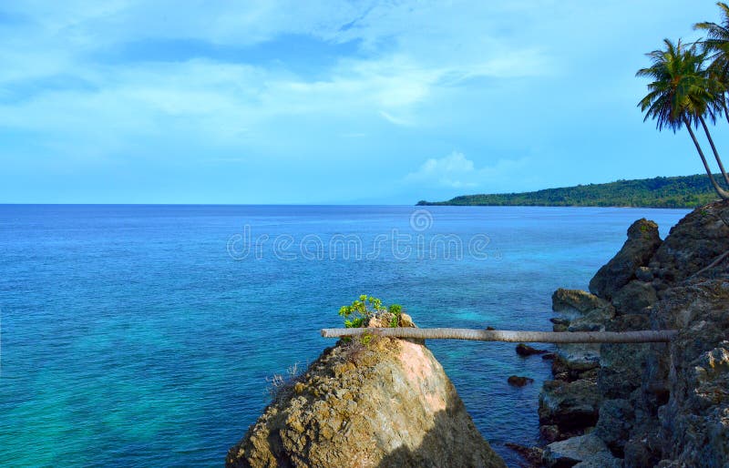 下落的棕榈树在Pulau Weh,印度尼西亚做一座桥梁 免版税库存照片 下落的棕榈树在Pulau Weh,印度尼西亚做一座桥梁 免版税库存照片