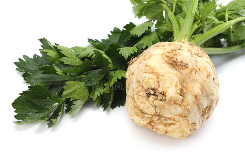 Celery root with leaf isolated on white background. Celery isolated on white. Healthy food. Celery root with leaf isolated on white background. Celery isolated on white. Healthy food