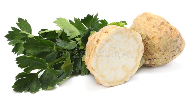 Celery root with leaf isolated on white background. Celery isolated on white. Healthy food. Celery root with leaf isolated on white background. Celery isolated on white. Healthy food