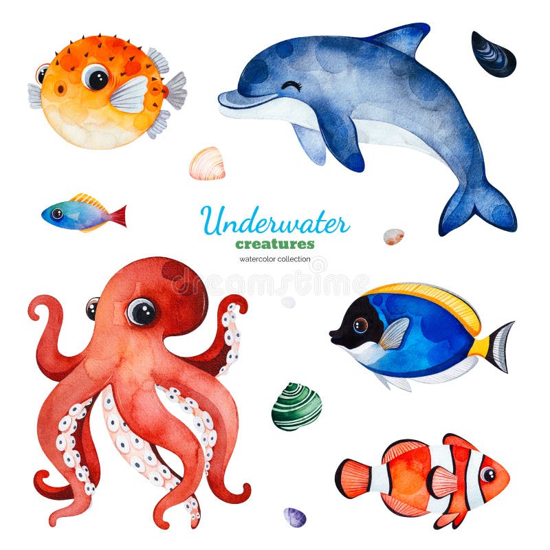 Underwater creatures. Watercolor collection with multicolored coral fishes.shells,dolphin,octopus and more!Perfect for invitations,party decorations,printable,craft project,greeting cards,blogs. Underwater creatures. Watercolor collection with multicolored coral fishes.shells,dolphin,octopus and more!Perfect for invitations,party decorations,printable,craft project,greeting cards,blogs