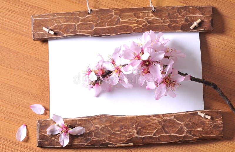Wood frame with spring flowers on wood background. Wood frame with spring flowers on wood background
