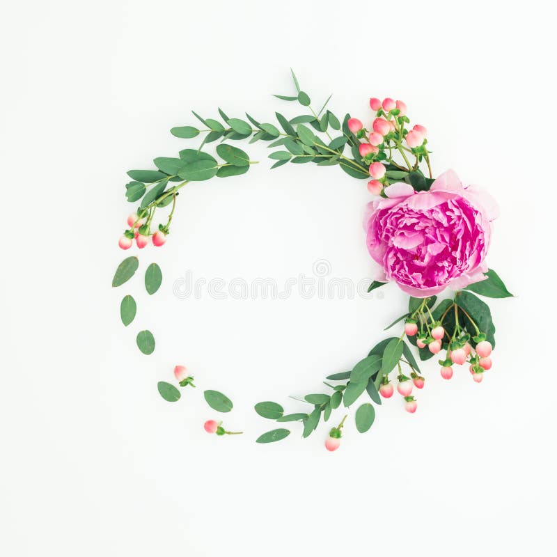 与桃红色牡丹花、金丝桃属植物和玉树的花卉圆的框架在白色背景 平的位置 免版税图库摄影 与桃红色牡丹花、金丝桃属植物和玉树的花卉圆的框架在白色背景 平的位置 免版税图库摄影
