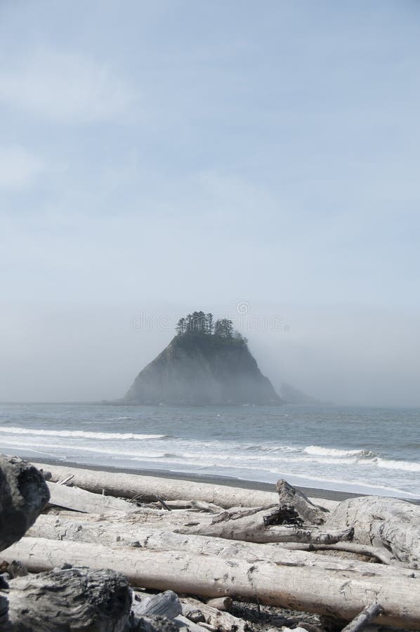 与森林的在海滨的迷雾山脉和漂流木头在Rialto靠岸 奥林匹克国家公园, WA 免版税图库摄影 与森林的在海滨的迷雾山脉和漂流木头在Rialto靠岸 奥林匹克国家公园, WA 免版税图库摄影