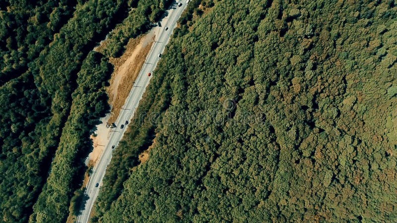 与森林的空中夏天视图，高速公路，汽车，在的卡车山