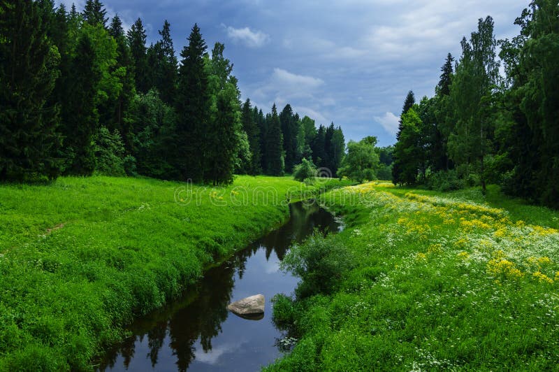 与河的夏天风景在Pavlovsk公园 库存图片 与河的夏天风景在Pavlovsk公园 库存图片