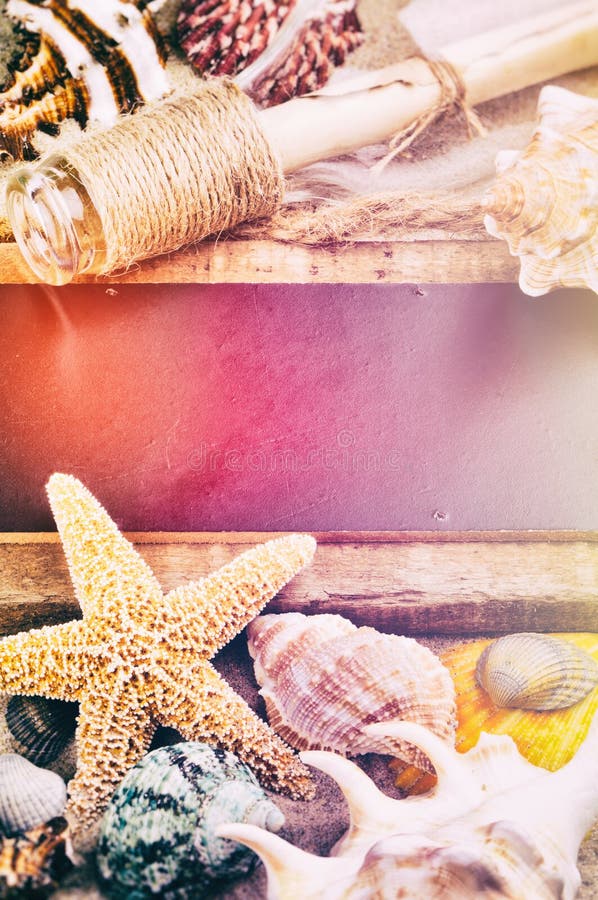 夏季假期框架，带有贝壳 库存照片