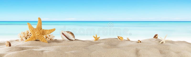 与海星的热带海滩在沙子,暑假背景 免版税图库摄影