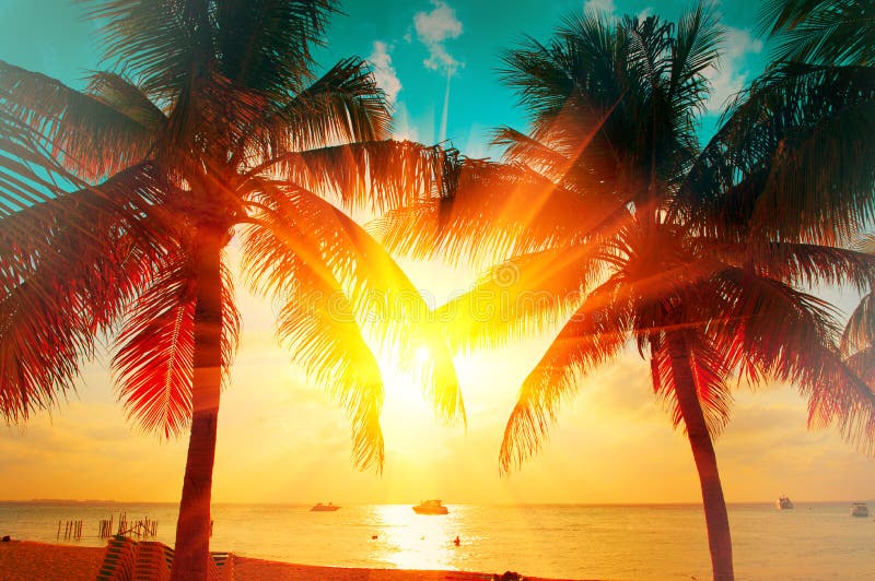 与热带棕榈树的日落海滩在美丽的天空 棕榈和美好的天空背景 旅游业，假期概念背景