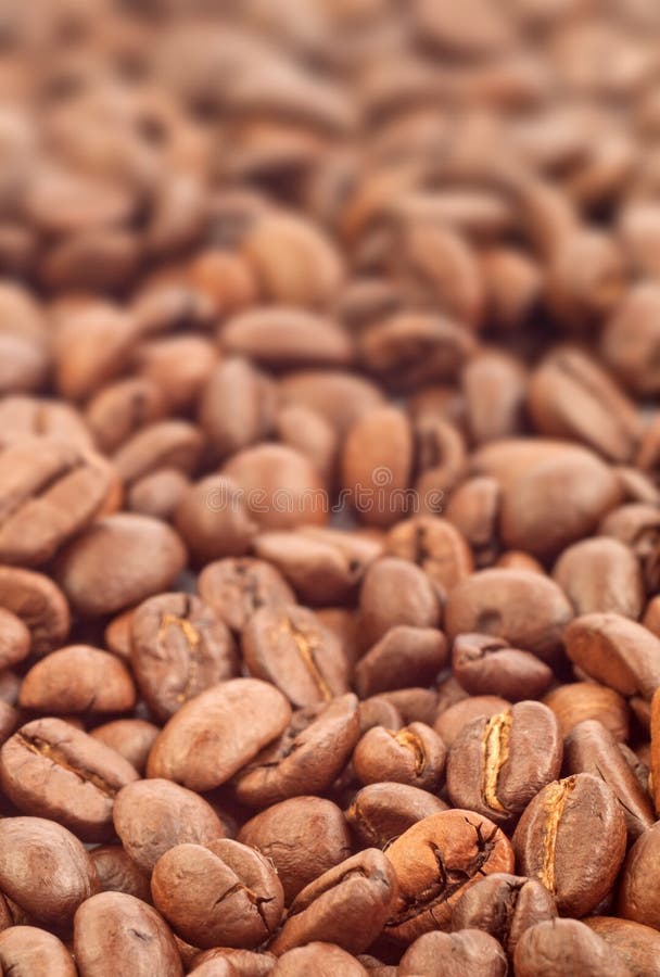 与焦点的咖啡豆在一个 免版税库存照片