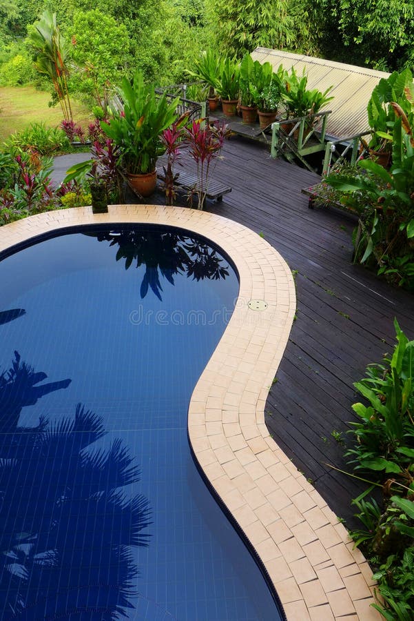 Top view looking down at pool patio - A photograph showing the design and layout of a blue swimming pool on top of a sunny wood deck patio, surrounded by lush tropical landscaping in a natural style. Swimming pool is curved to blend in naturally with the informal plantings of flowering shrubs and plants. Wood deck is made of old tropical hard wood timber and deck chairs are also placed on the edges of the patio. Design complements the natural environment of the house, which is beside a tropical jungle. Design suitable for small resort hotel, home stay, holiday villa. Close to nature life style concept photo, eco tourism theme image. Empty, nobody in picture. Top view looking down at pool patio - A photograph showing the design and layout of a blue swimming pool on top of a sunny wood deck patio, surrounded by lush tropical landscaping in a natural style. Swimming pool is curved to blend in naturally with the informal plantings of flowering shrubs and plants. Wood deck is made of old tropical hard wood timber and deck chairs are also placed on the edges of the patio. Design complements the natural environment of the house, which is beside a tropical jungle. Design suitable for small resort hotel, home stay, holiday villa. Close to nature life style concept photo, eco tourism theme image. Empty, nobody in picture.