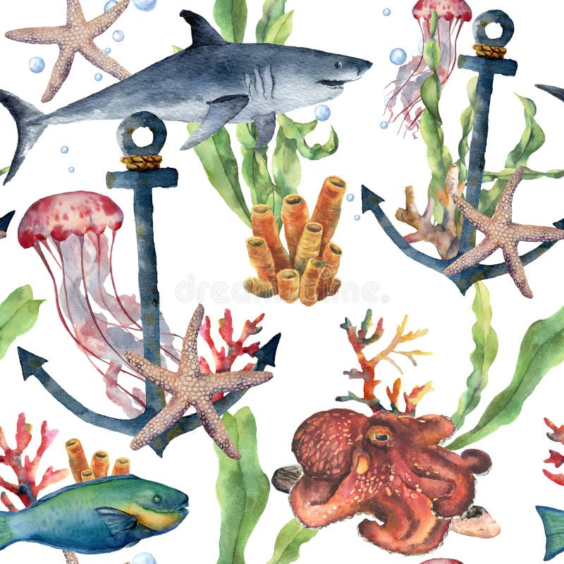 Watercolor seamless pattern with shark, anchor and sea animals. Hand painted plumeria, octopus, jellyfish, parrotfish, starfish and coral reef. Nautical illustration for design, print or background. Watercolor seamless pattern with shark, anchor and sea animals. Hand painted plumeria, octopus, jellyfish, parrotfish, starfish and coral reef. Nautical illustration for design, print or background