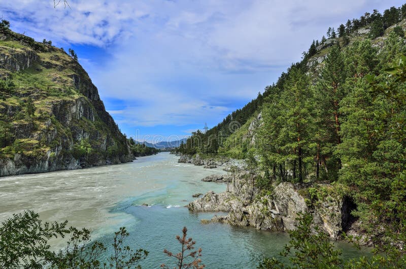 Beautiful sunny summer landscape on place where Chemal River flows into Katun River - two fast mountains rivers with rocky banks coniferous forest covered, Altai mountains, Russia. Beautiful sunny summer landscape on place where Chemal River flows into Katun River - two fast mountains rivers with rocky banks coniferous forest covered, Altai mountains, Russia