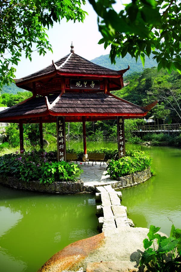 中国池塘