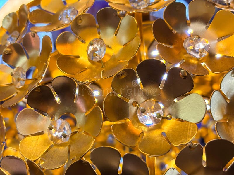 中心清晰的金花的特写 库存照片