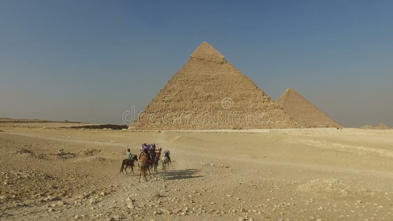 乘坐骆驼的游人在吉萨棉金字塔