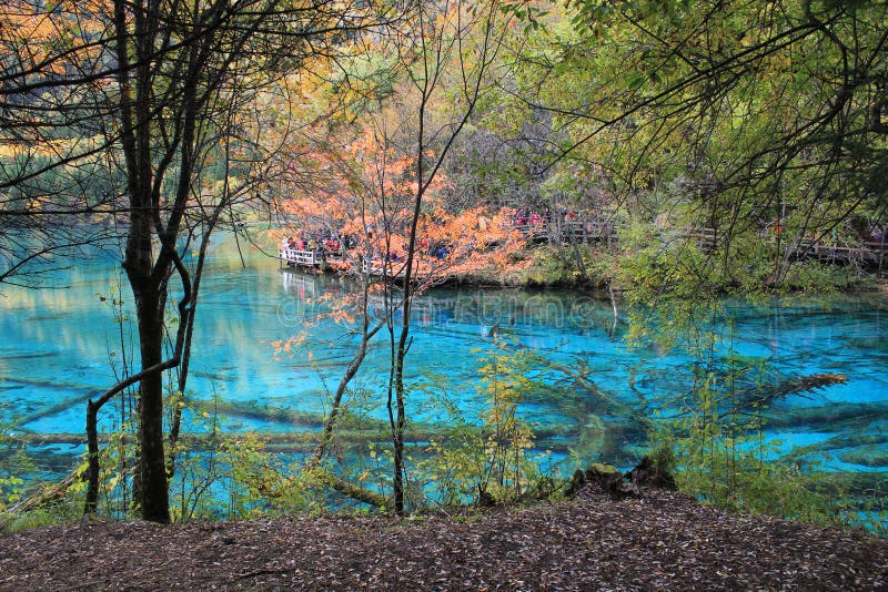 Photo of reflection, water, nature, leaf, body, of, tree, wetland, reserve, woody, plant, vegetation, pond, bank, woodland, river, swamp, branch, autumn, lake, bayou, landscape, state, park, watercourse, creek, fluvial, landforms, streams, forest, stream, grass, riparian, zone, deciduous, bog, spring, floodplain. Photo of reflection, water, nature, leaf, body, of, tree, wetland, reserve, woody, plant, vegetation, pond, bank, woodland, river, swamp, branch, autumn, lake, bayou, landscape, state, park, watercourse, creek, fluvial, landforms, streams, forest, stream, grass, riparian, zone, deciduous, bog, spring, floodplain