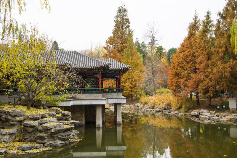 亚洲中国，北京，中山公园，秋天风景