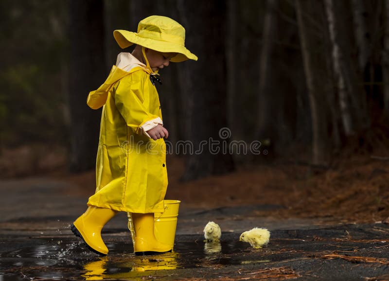 A small child plays in the rain while little chicks try to get a drink of water. A small child plays in the rain while little chicks try to get a drink of water