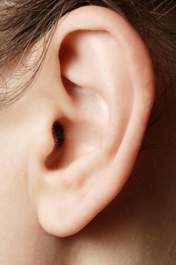 Close up image of a woman's ear. Close up image of a woman's ear