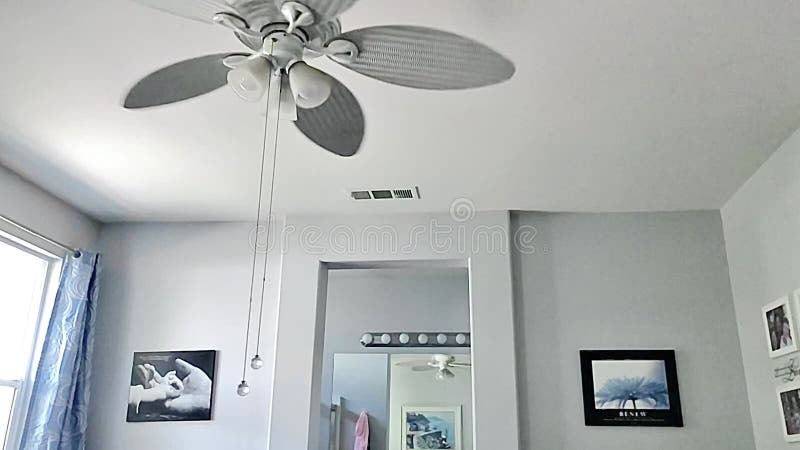 今年夏天用风扇凉了一下 股票视频