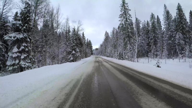 从汽车的后面看法登上了照相机，当车辆驾驶冬天多雪的森林公路 录影4K