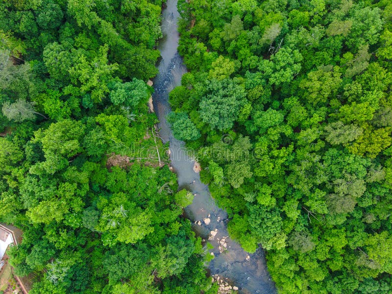 从空中拍摄大溪河的流水，周围环绕着数英里的郁郁葱葱的绿树，河岸上种着岩石