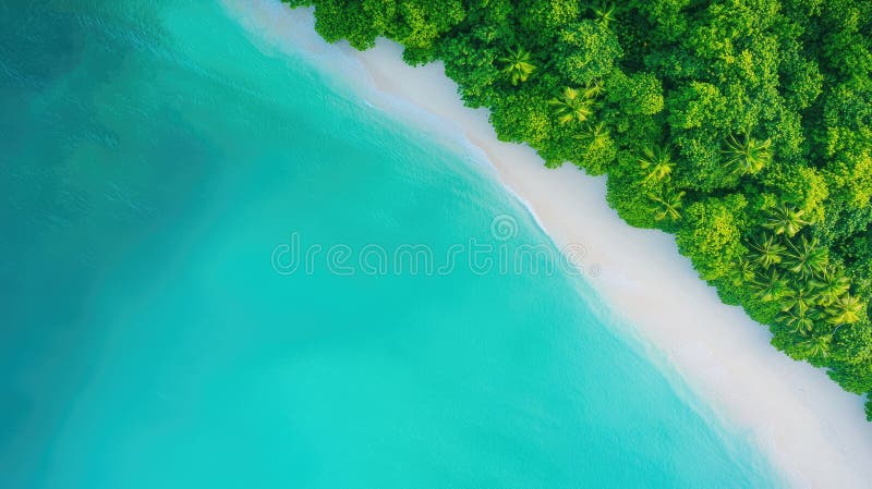 从空中欣赏一片纯朴的海滩，会聚郁郁葱葱的绿树，在自然阳光下展示鲜艳的蓝水和柔和的白沙 皇族释放例证