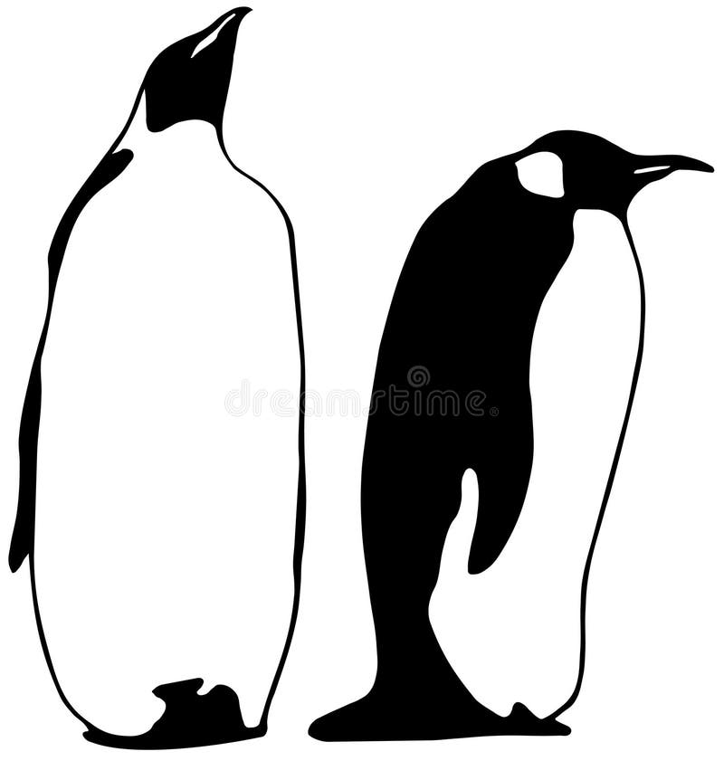 Two penguins in black and white optic. Available as Illustrator-file. Two penguins in black and white optic. Available as Illustrator-file