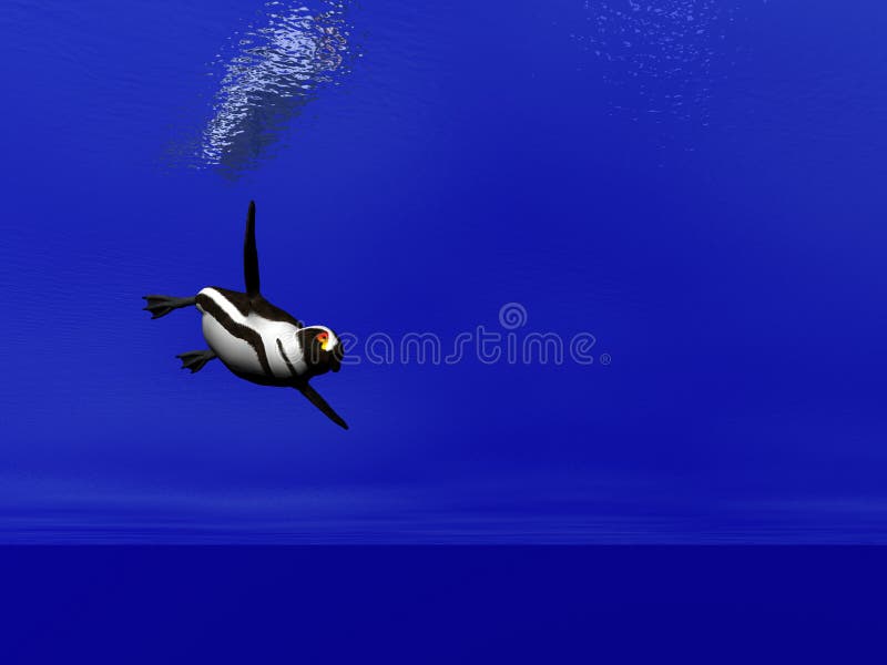 Penguin swimming under water. Penguin swimming under water