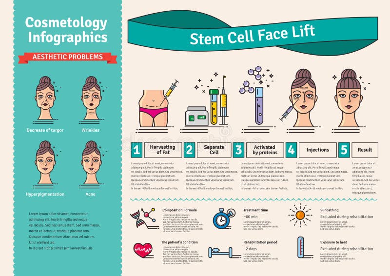 Vector Illustrated set with cosmetology stem cell facelift. Infographics with icons of medical cosmetic procedures. Vector Illustrated set with cosmetology stem cell facelift. Infographics with icons of medical cosmetic procedures.
