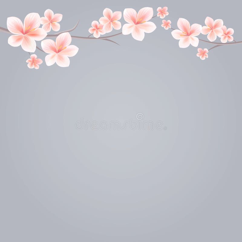 佐仓分支有在灰色背景隔绝的桃红色花的 佐仓花 樱花 传染媒介EPS 10 cmyk 皇族释放例证 佐仓分支有在灰色背景隔绝的桃红色花的 佐仓花 樱花 传染媒介EPS 10 cmyk 皇族释放例证
