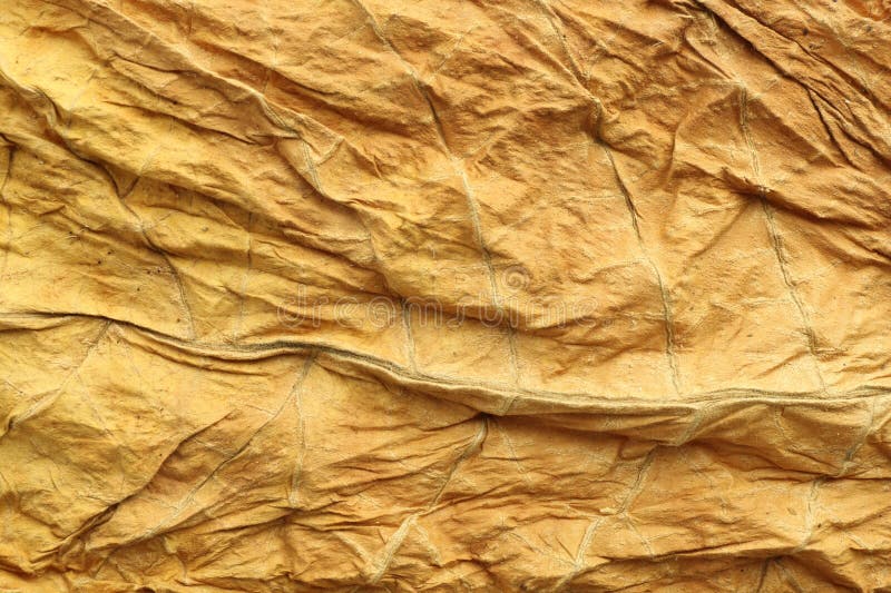 干燥的烟叶作为背景，俯视图 库存图片