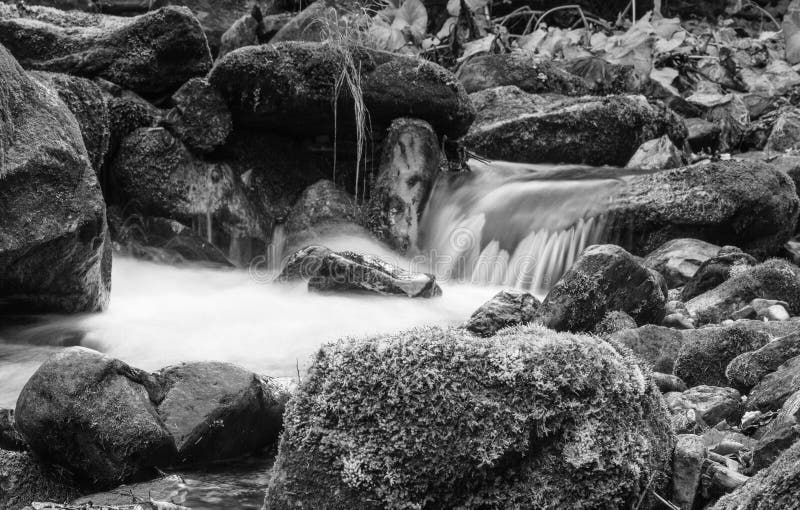 Landscape mountain river in autumn forest. View of the stony rapids. Fast jet of water at slow shutter speeds give a beautiful magic effect. Black and white photo. Landscape mountain river in autumn forest. View of the stony rapids. Fast jet of water at slow shutter speeds give a beautiful magic effect. Black and white photo.