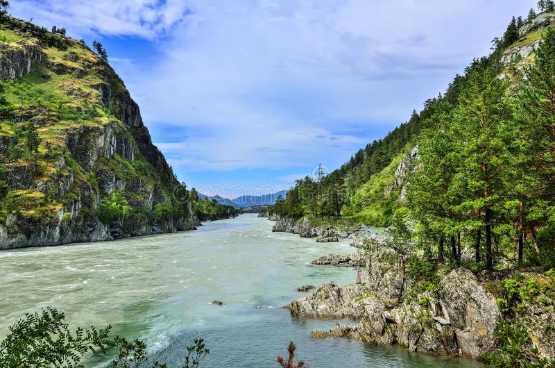 Beautiful sunny summer landscape on place where Chemal River flows into Katun River - two fast mountains rivers with rocky banks coniferous forest covered, Altai mountains, Russia. Beautiful sunny summer landscape on place where Chemal River flows into Katun River - two fast mountains rivers with rocky banks coniferous forest covered, Altai mountains, Russia