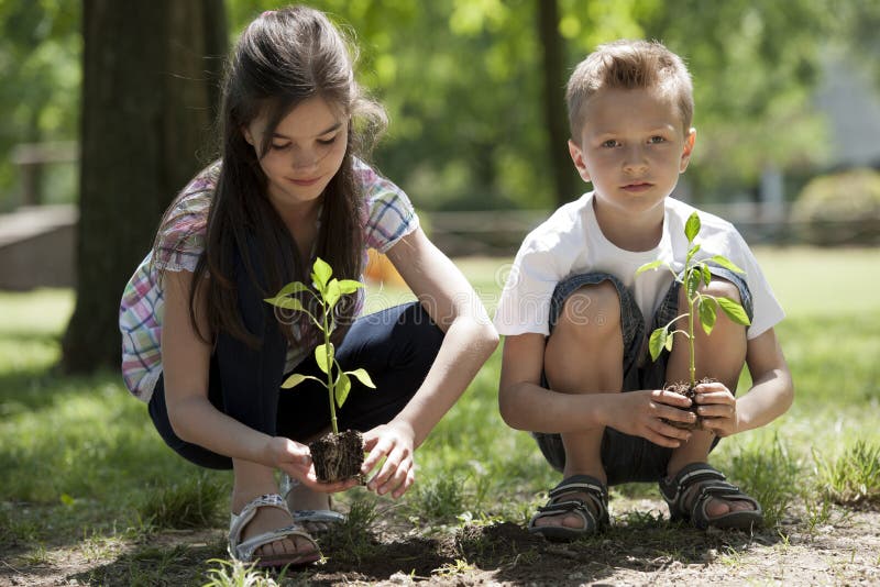 Children planting a new tree. Concept: new lifew, environmental conservation. Children planting a new tree. Concept: new lifew, environmental conservation