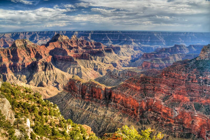 North rim of The Grand Canyon. HDR image. North rim of The Grand Canyon. HDR image