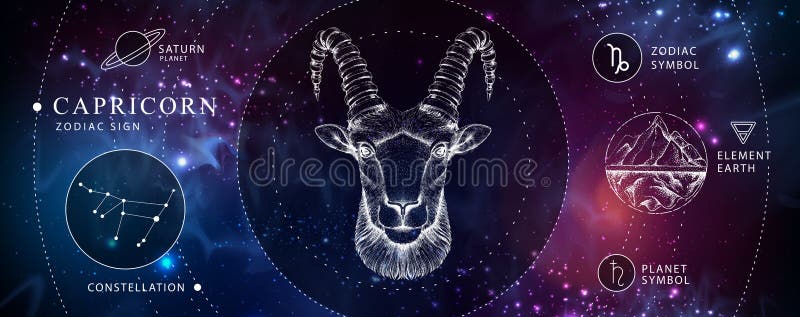 具有星象学黄道标志的现代魔法巫术卡 真实手绘拉杆或摩弗龙头 向量例证