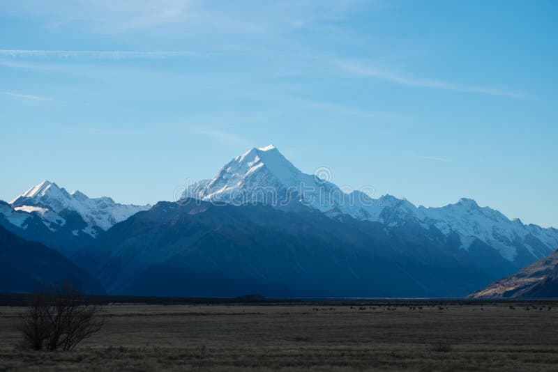 农田和库克山背景的,坎特伯雷,新西兰 库存照片 农田和库克山背景的,坎特伯雷,新西兰 库存照片