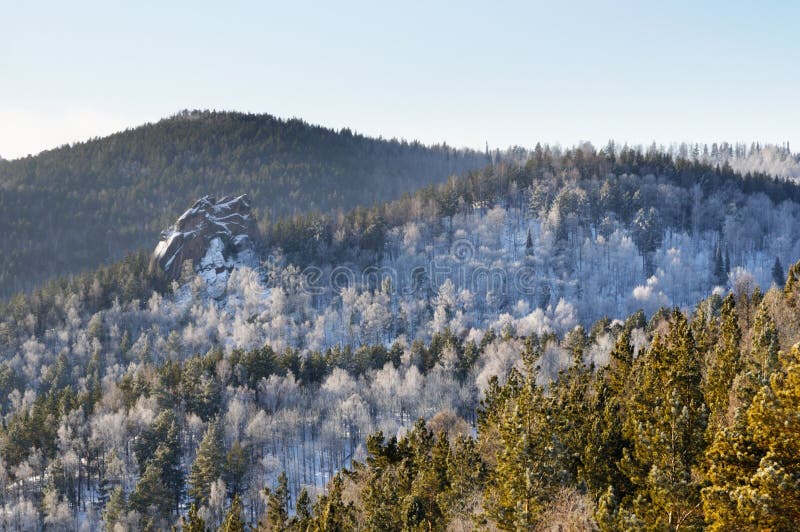 冬天与用松树森林盖的多雪的山的山风景在日落期间 免版税库存照片