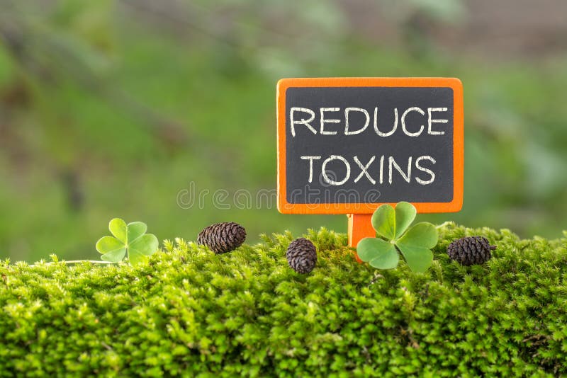 减少毒素 文字在小黑板上 库存图片