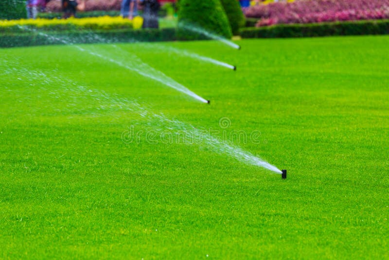 切除卵巢在绿草的草坪喷水隆头水 灌溉系统 免版税图库摄影