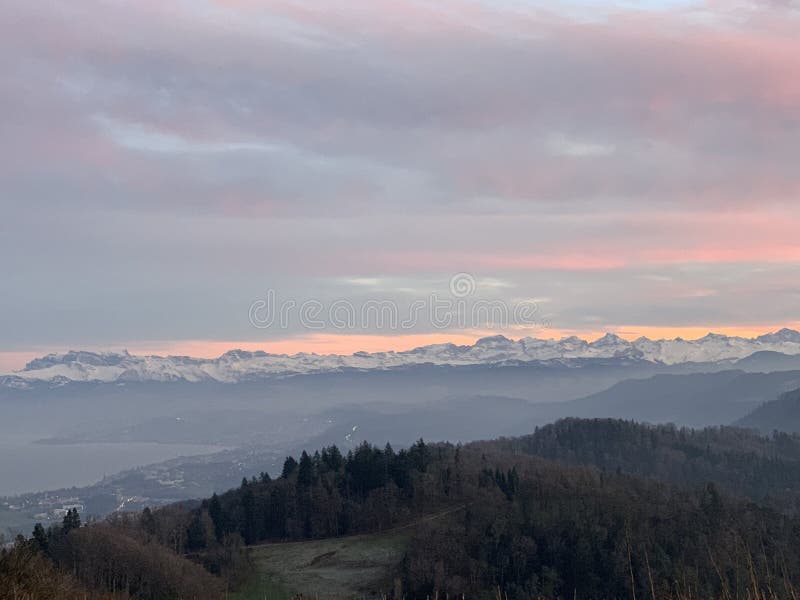 前景是阿尔卑斯山脉全景，冬日夕阳，瑞士的瑞士Uetliberg